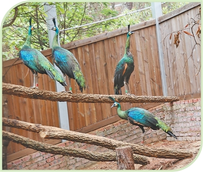 ����ʧ20���굽�ɹ���Ȼ����  �G��ȸ�ص��˱��o�^(q��)